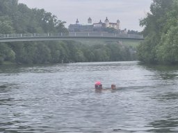 Mainschwimmen Juni 2026